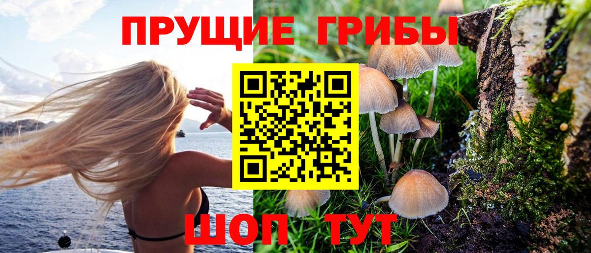 Галлюциногенные грибы прущие грибы  как найти   Ленинск-Кузнецкий  Вход с VPN 